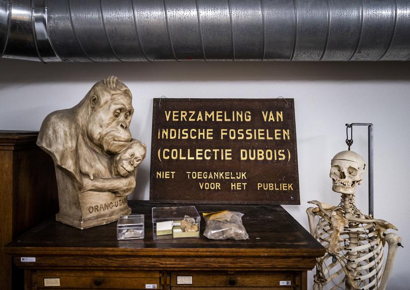 Nederland geeft gestolen kunst terug aan Indonesië