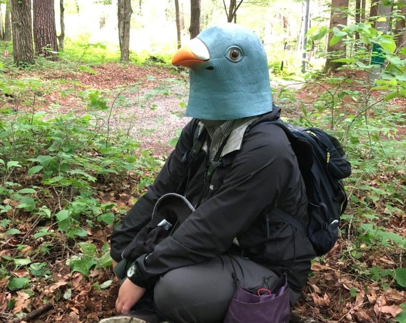 Onderzoeker met vogelmasker. Foto: X / @toshitaka_szk